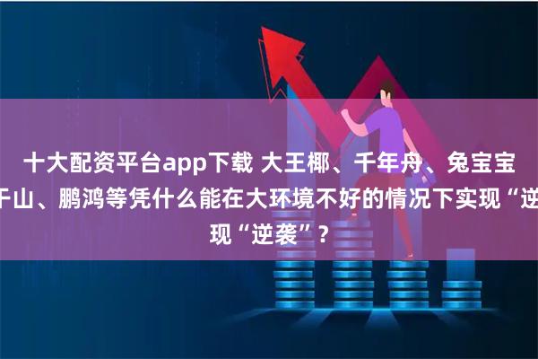 十大配资平台app下载 大王椰、千年舟、兔宝宝、莫干山、鹏鸿等凭什么能在大环境不好的情况下实现“逆袭”？